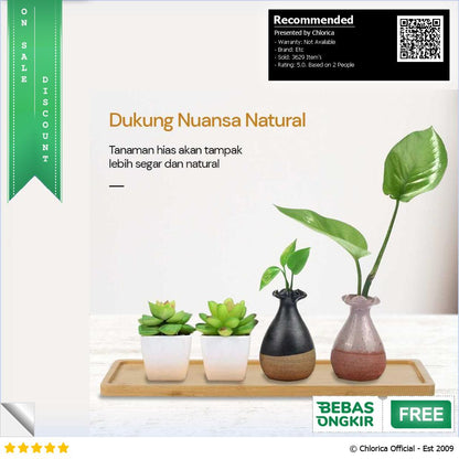 WITUSE Alas Tatakan Pot Tanaman Minimalis Persegi Panjang Bamboo Tray EQF301