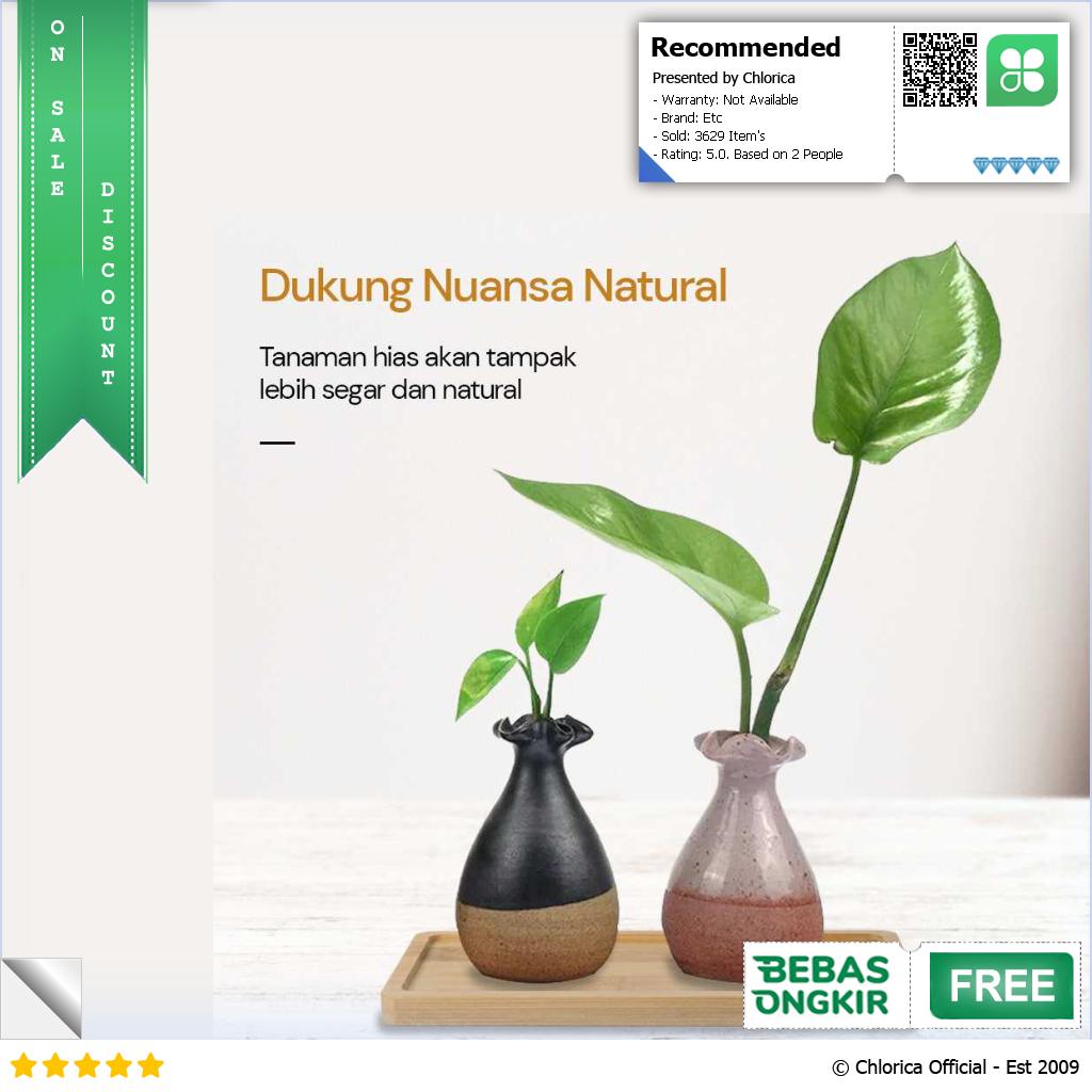 WITUSE Alas Tatakan Pot Tanaman Minimalis Persegi Panjang Bamboo Tray EQF301