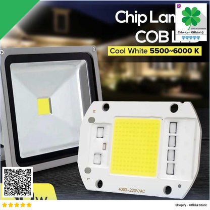 Arcomm Chip LED Lampu COB Floodlight Spotlight 220V