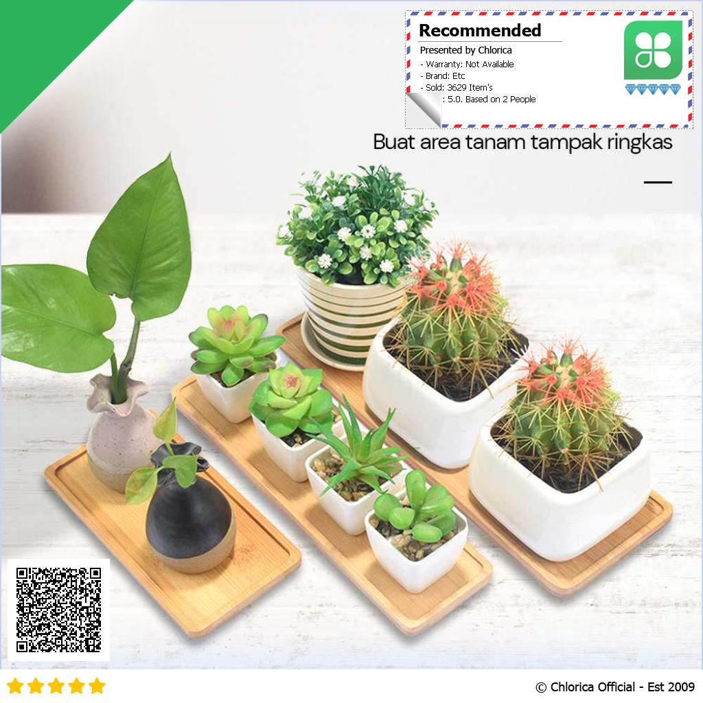 WITUSE Alas Tatakan Pot Tanaman Minimalis Persegi Panjang Bamboo Tray EQF301