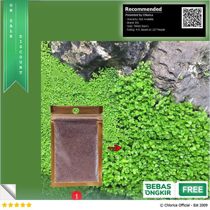 Bibit Rumput Air Dekorasi Aquarium Landscape Ornament 10g H0027