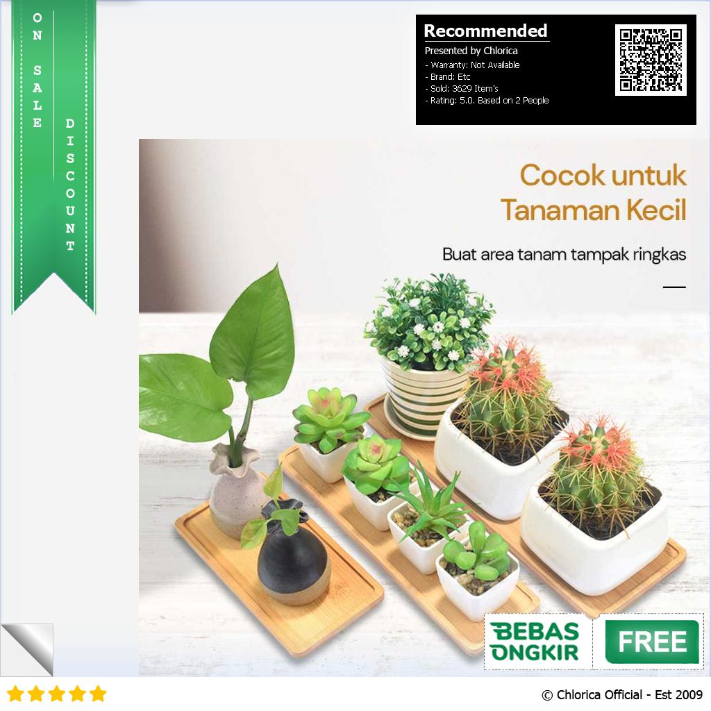 WITUSE Alas Tatakan Pot Tanaman Minimalis Persegi Panjang Bamboo Tray EQF301