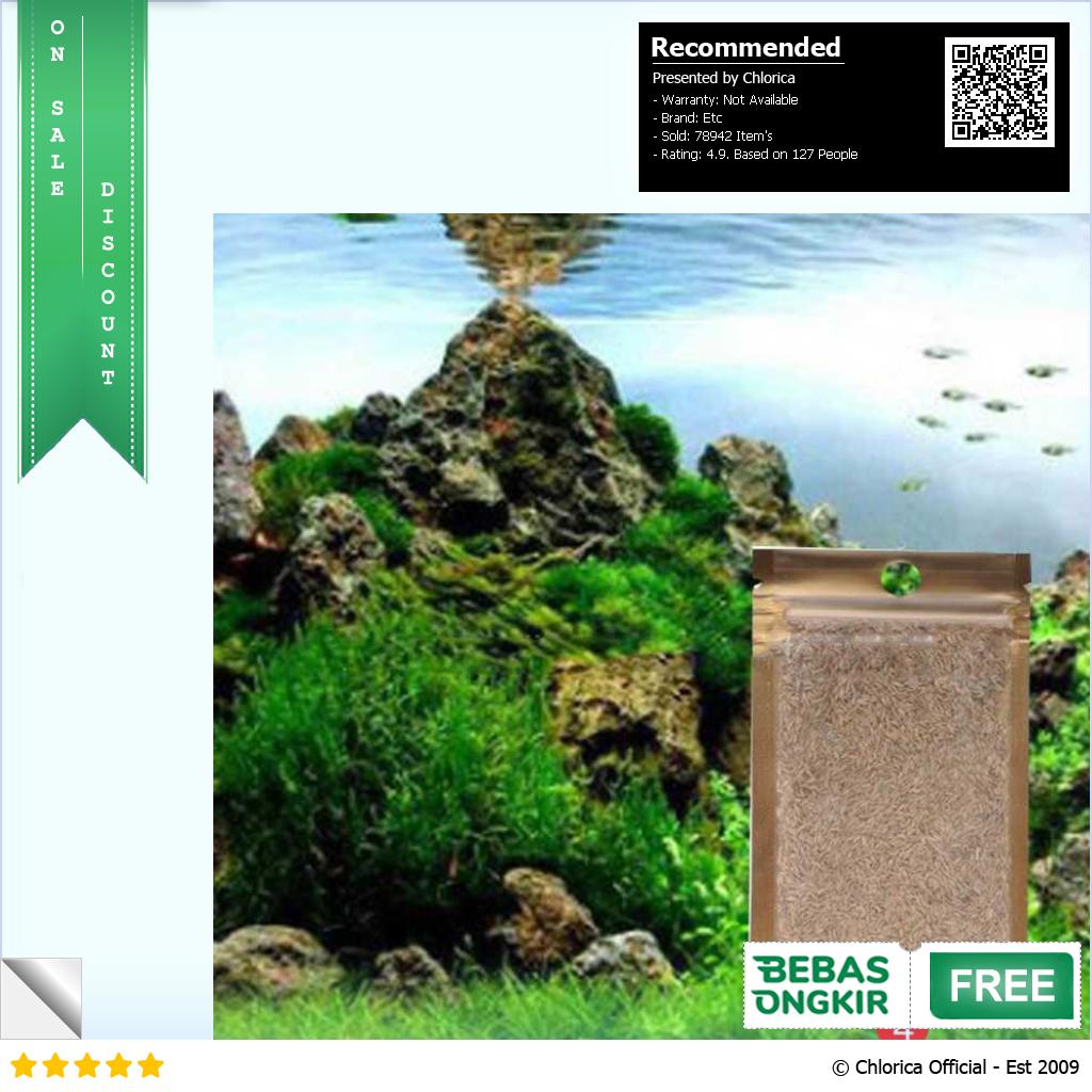 Bibit Rumput Air Dekorasi Aquarium Landscape Ornament 10g H0027