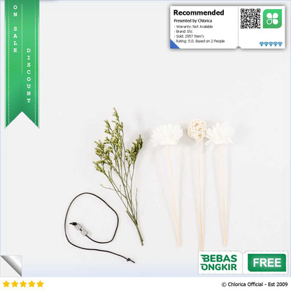 ZUOHE Pengharum Ruangan Aromaterapi Reed Diffuser 50 ml Z203