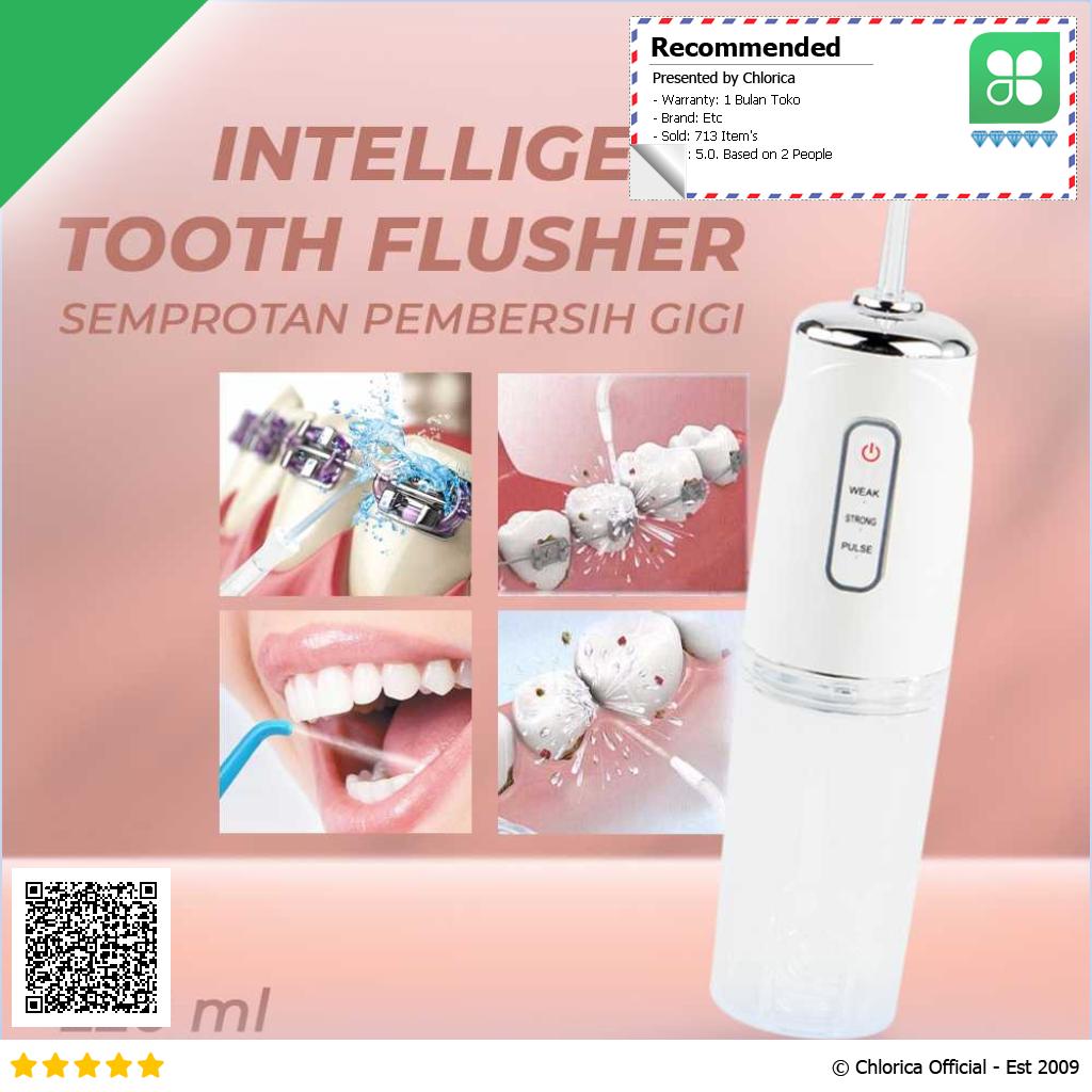 DentalSpa Semprotan Pembersih Gigi Oral Irrigator Smart Tooth Flusher 6668