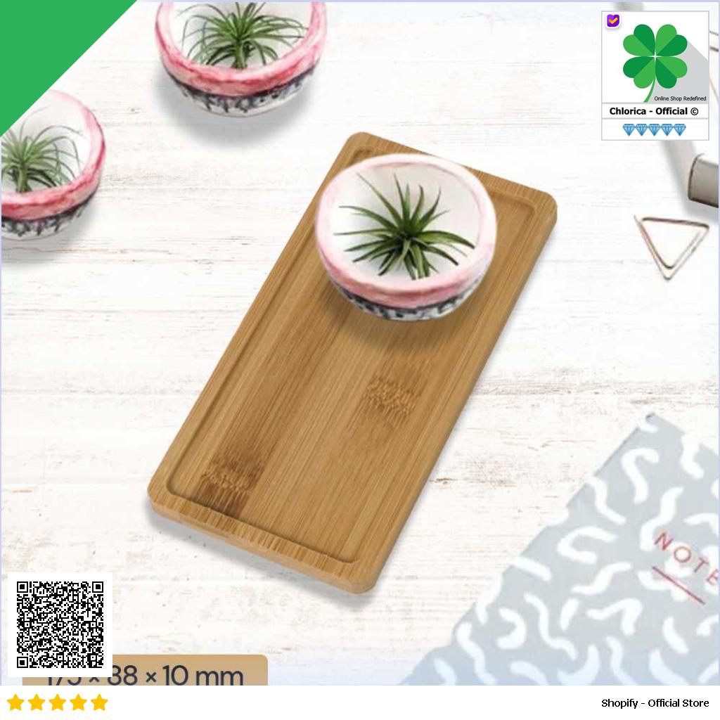 WITUSE Alas Tatakan Pot Tanaman Minimalis Persegi Panjang Bamboo Tray EQF301