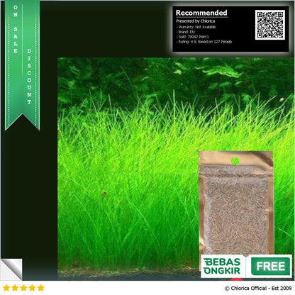 Bibit Rumput Air Dekorasi Aquarium Landscape Ornament 10g H0027