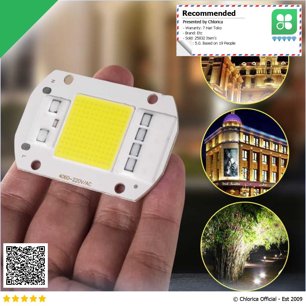 Arcomm Chip LED Lampu COB Floodlight Spotlight 220V