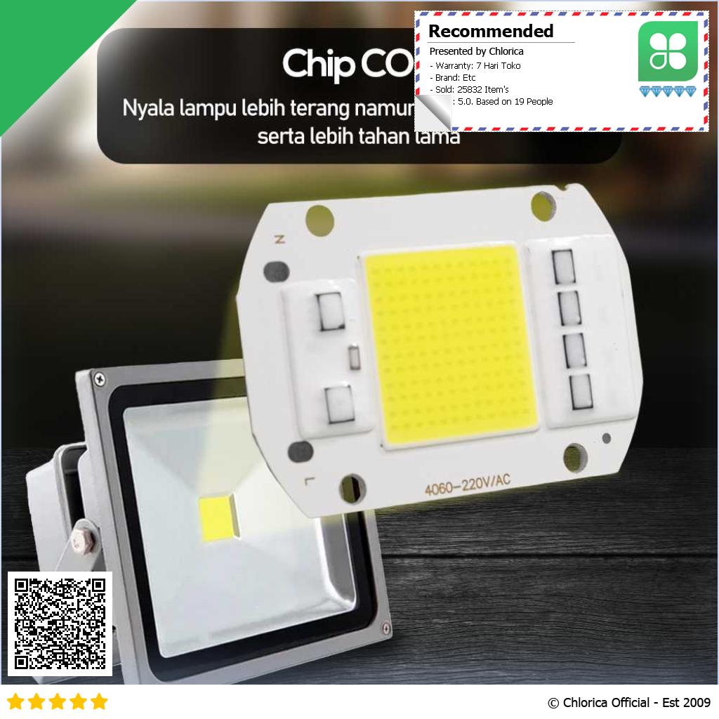 Arcomm Chip LED Lampu COB Floodlight Spotlight 220V