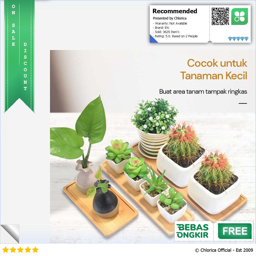 WITUSE Alas Tatakan Pot Tanaman Minimalis Persegi Panjang Bamboo Tray EQF301