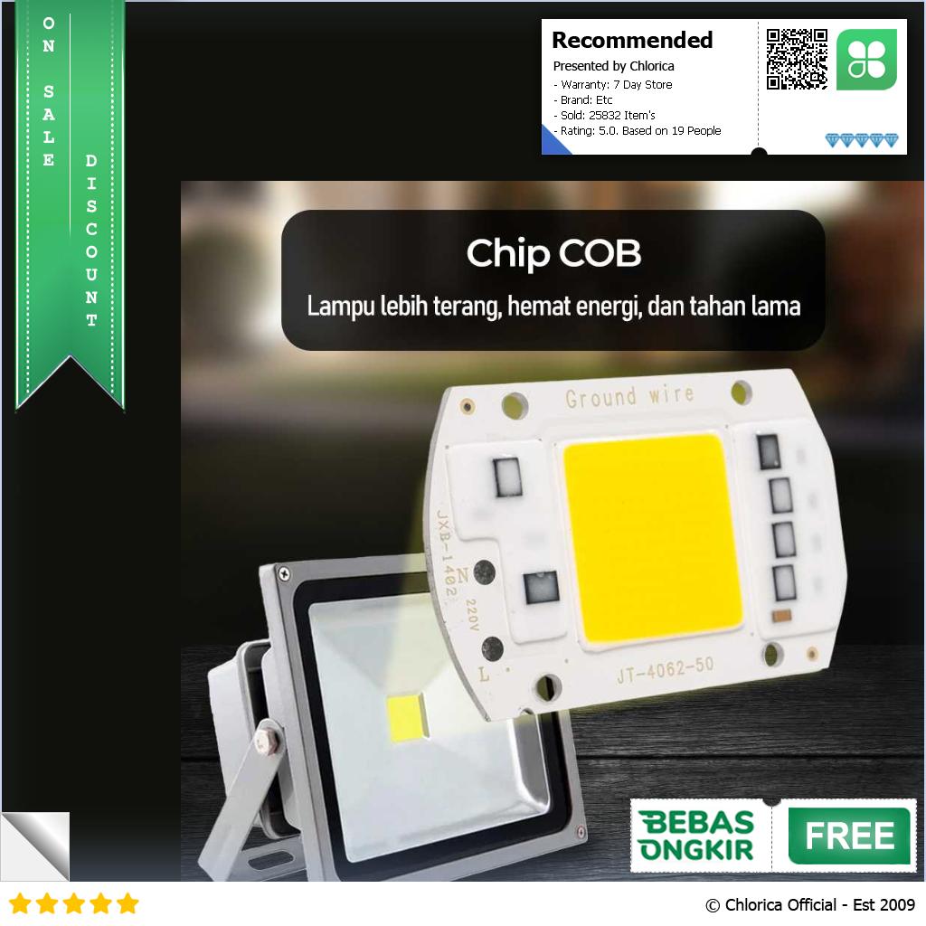 Arcomm Chip LED Lampu COB Floodlight Spotlight 220V