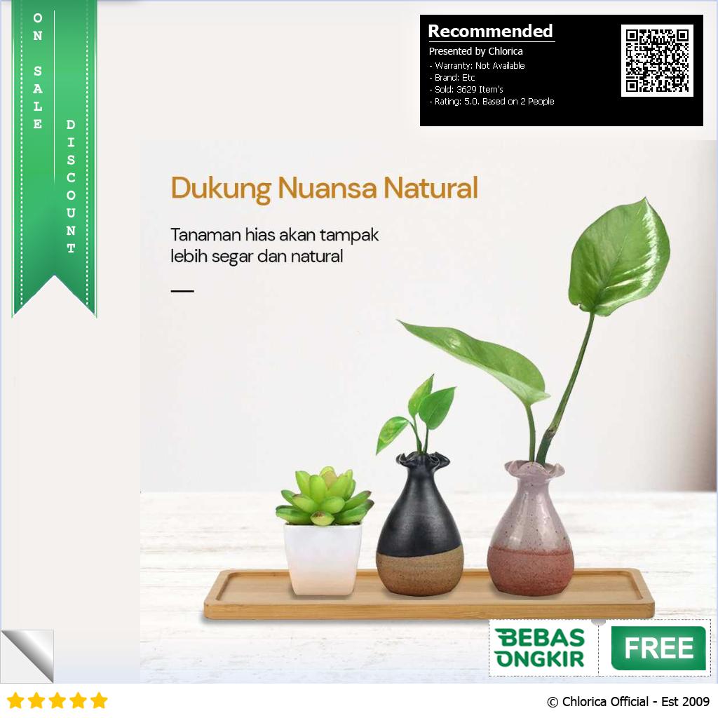 WITUSE Alas Tatakan Pot Tanaman Minimalis Persegi Panjang Bamboo Tray EQF301